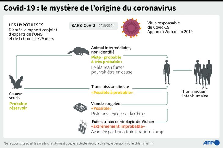 COVID-19 : Les mystères entourant l’origine de la pandémie