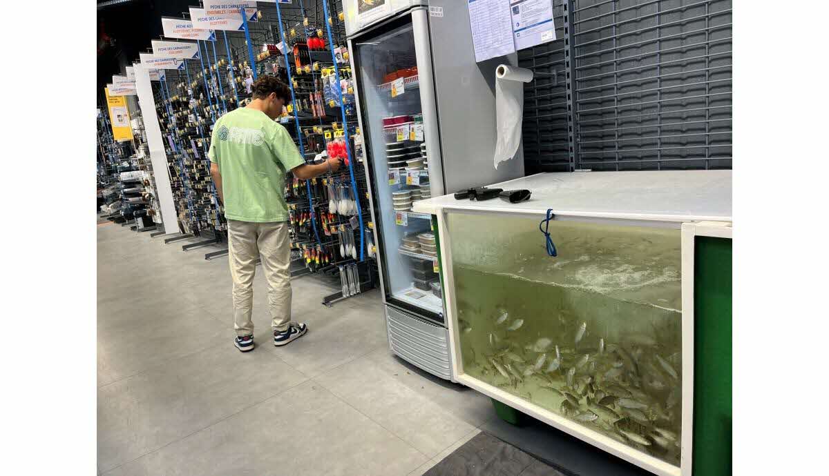 Dénonciation de la vente illégale de poissons vivants : l’association PAZ attaque Decathlon en justice