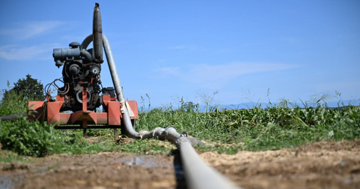 La sécheresse dévaste l’Ain : des restrictions drastiques sur l’eau