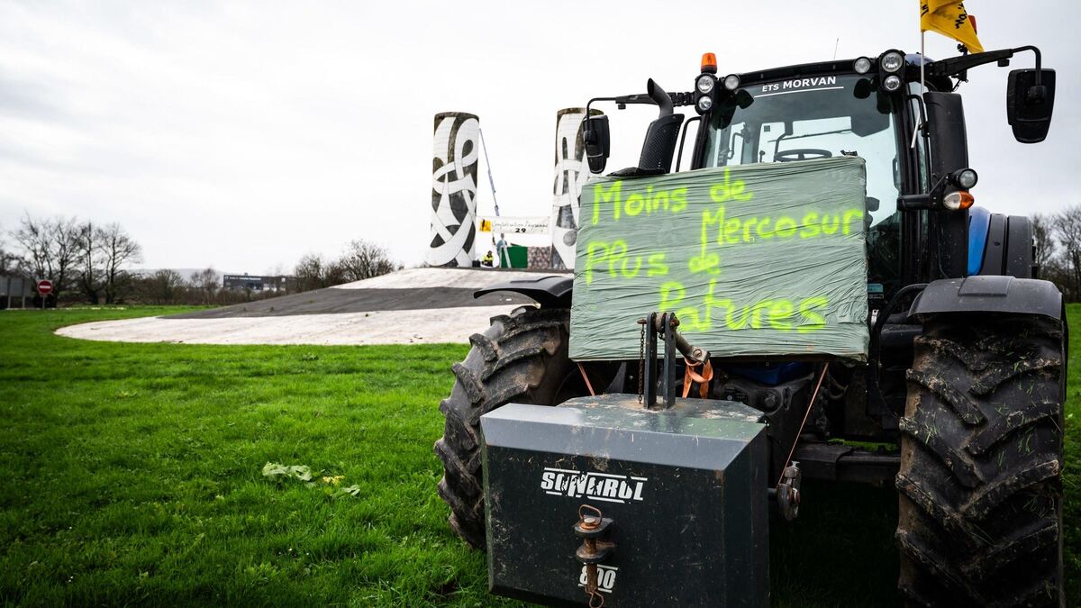 L’agriculture française menacée par le traité UE-MERCOSUR : un coup d’épée dans l’eau pour les paysans