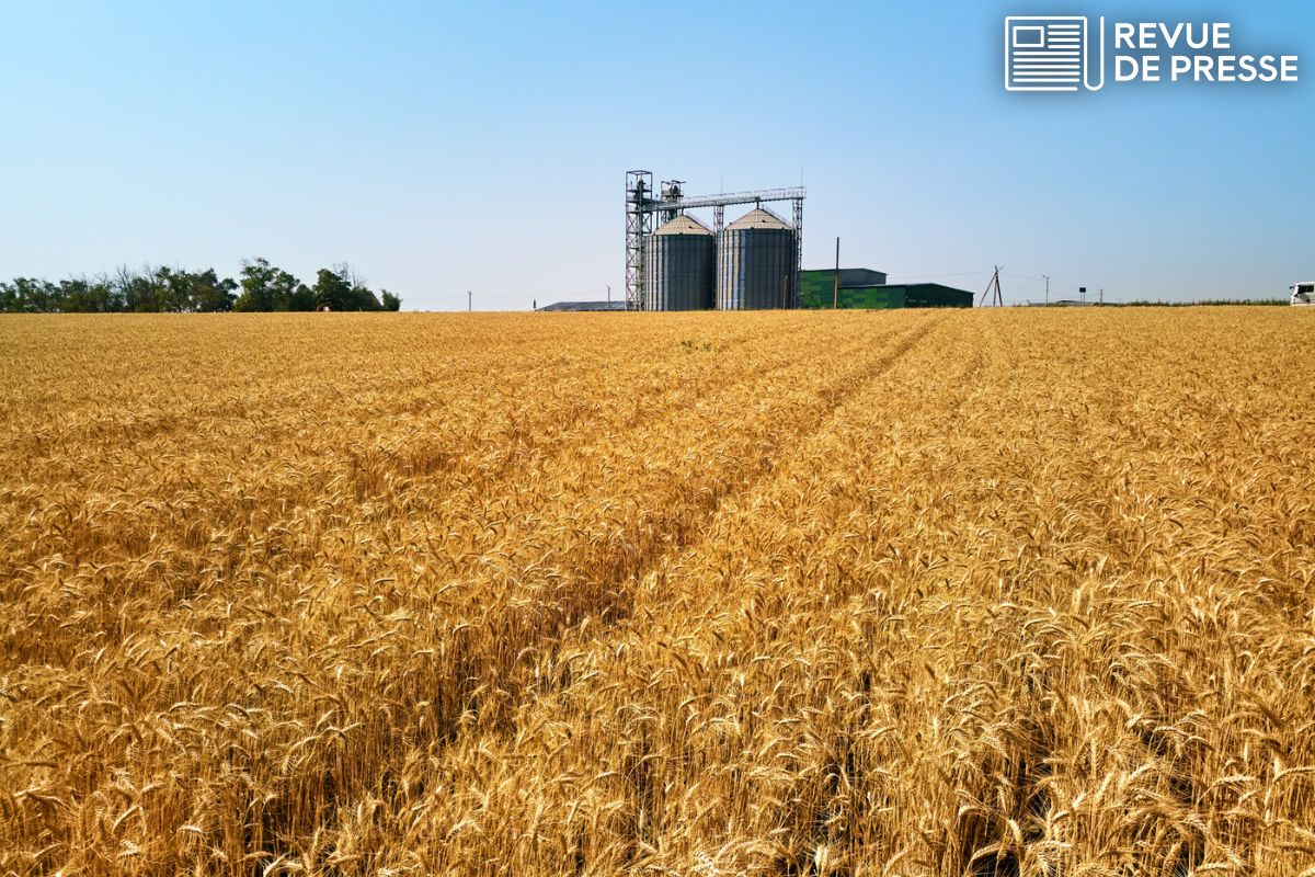 «L’accord UE-Ukraine : une trahison de l’agriculture française par les oligarques ukrainiens»